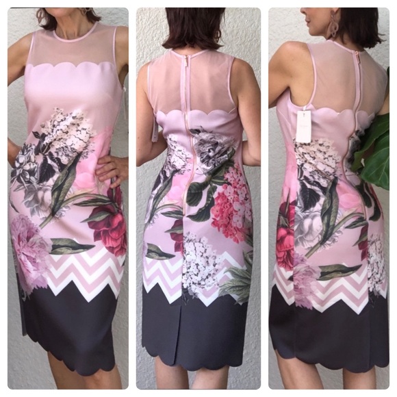 Ted Baker Palace Gardens Scalloped Sheath Dress - Picture 6 of 6
